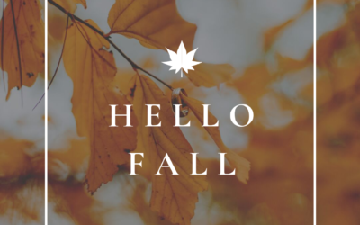 HELLO FALL !