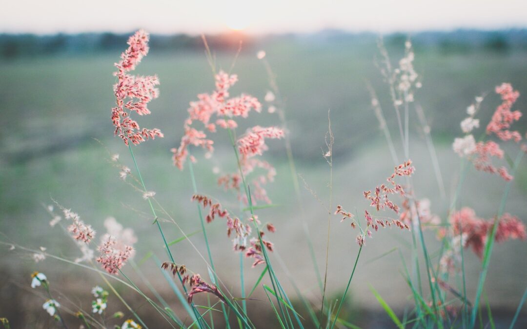 Top 3 Home Design Trends You’ll Love this Spring